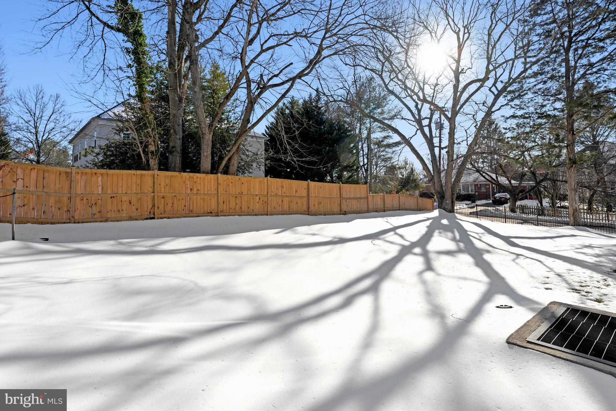 6447 Tucker Avenue McLean, VA 22101 - Photo 43 of 47 a view of yard with trees