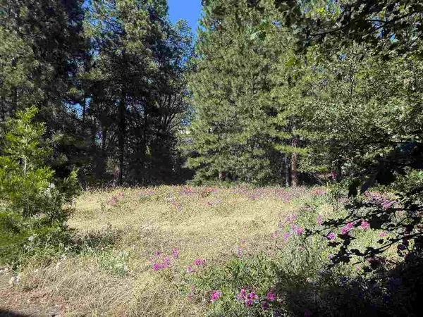 $130,000 | 2-lots On 2-lots On Hercules Ln Mount, Mount Shasta, CA 96067