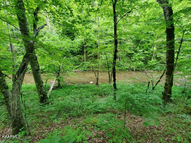 Hardy's Creek Road Jonesville, VA 24263 - Photo 2 of 6 hardys1