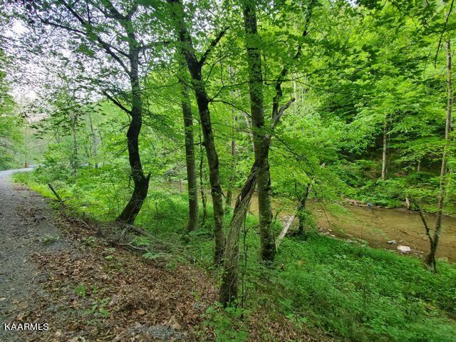 Hardy's Creek Road Jonesville, VA 24263 - Photo 3 of 6 hardys2