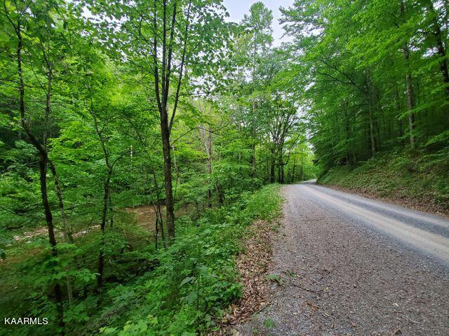 Hardy's Creek Road Jonesville, VA 24263 - Photo 4 of 6 hardys3