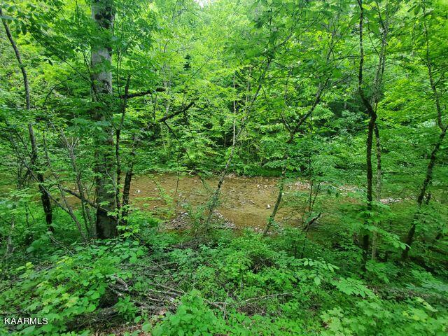 Hardy's Creek Road Jonesville, VA 24263 - Photo 5 of 6 hardys4
