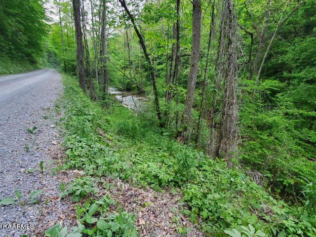 Hardy's Creek Road Jonesville, VA 24263 - Photo 6 of 6 hardys6