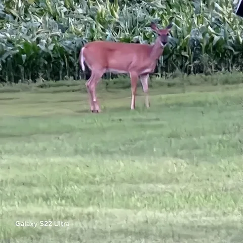 $299,000 | 755 240th Avenue Southwest, Appleton, MN 56208