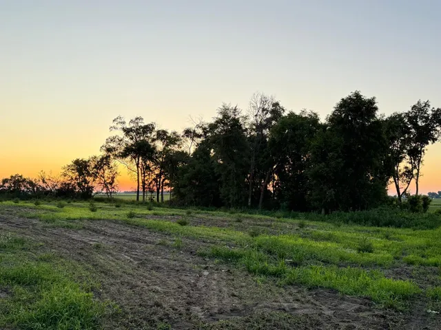 $299,000 | 755 240th Avenue Southwest, Appleton, MN 56208