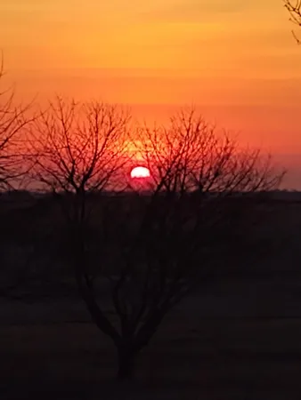 $259,900 | 755 240th Avenue Southwest, Appleton, MN 56208