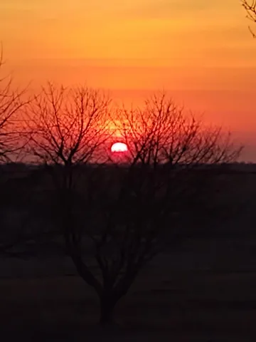 $299,000 | 755 240th Avenue Southwest, Appleton, MN 56208