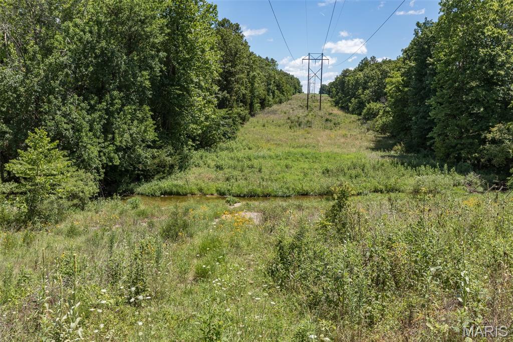 1175 3 Rivers Road Bonne Terre, MO 63628 - Photo 2 of 32 Gallery Image 2