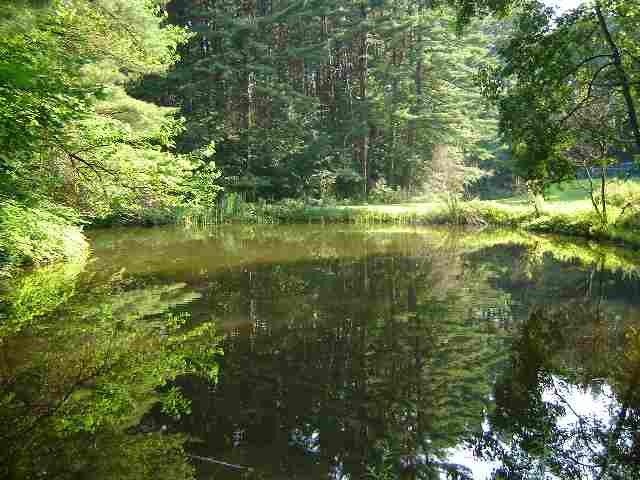 516 Greenfield Road Wilton, NY 12831 - Photo 4 of 12 Photo 4