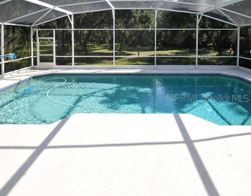 311 North Jungle Road Geneva, FL 32732 - Photo 9 of 12 Swimming Pool/Hot Tub/Sauna - Lots of space with this screened pool area overlooking over 5 acres of property.