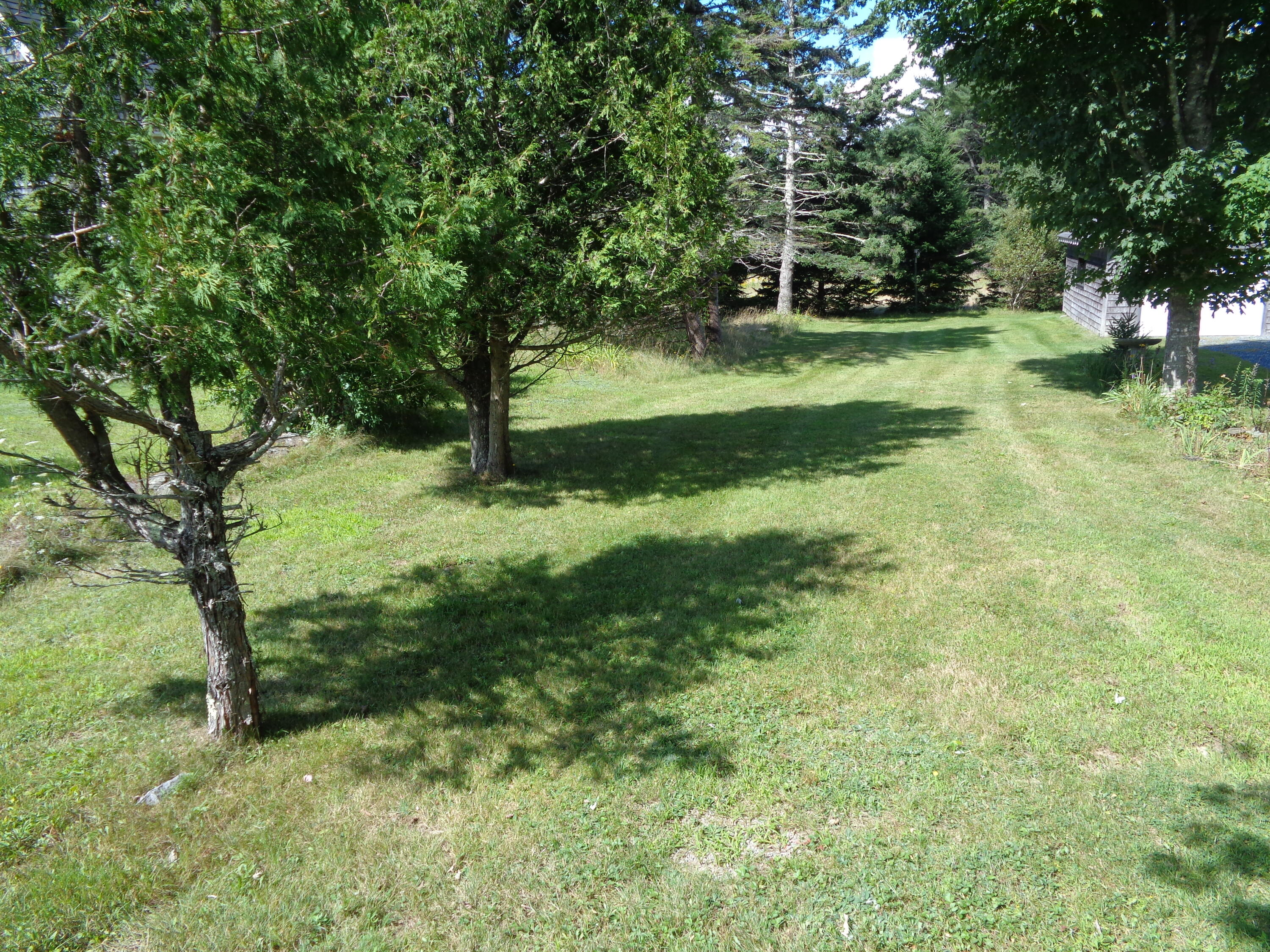 1009 Shore Road Lamoine, ME 04605 - Photo 52 of 60 Apple trees