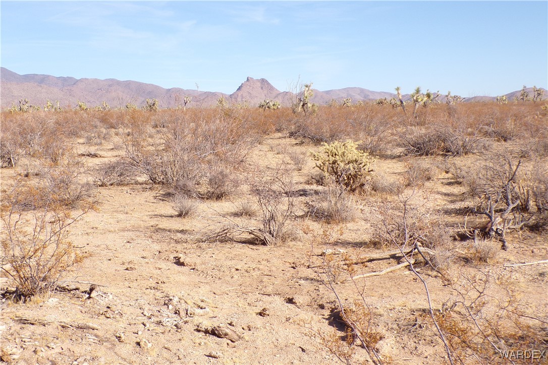 Lot 452 South Geronimo Road Yucca, AZ 86438 - Photo 12 of 35 View