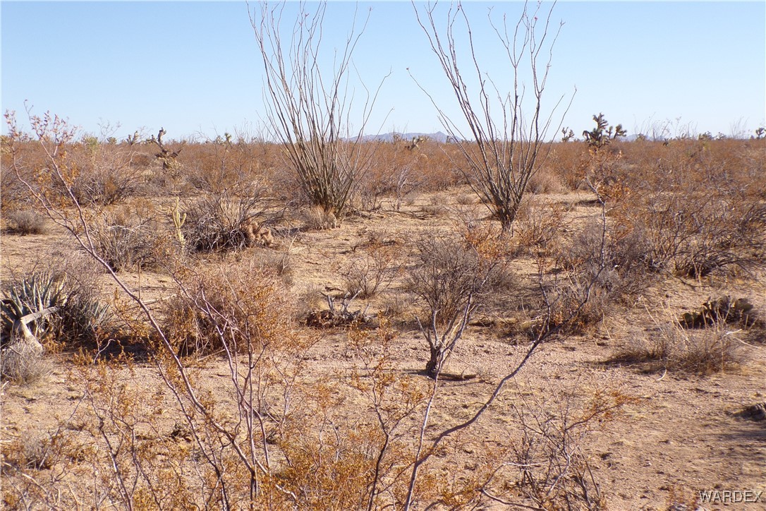 Lot 452 South Geronimo Road Yucca, AZ 86438 - Photo 13 of 35 Other