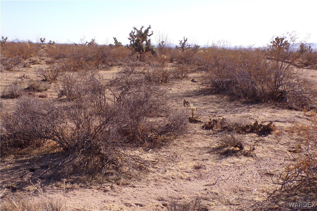 Lot 452 South Geronimo Road Yucca, AZ 86438 - Photo 14 of 35 Other