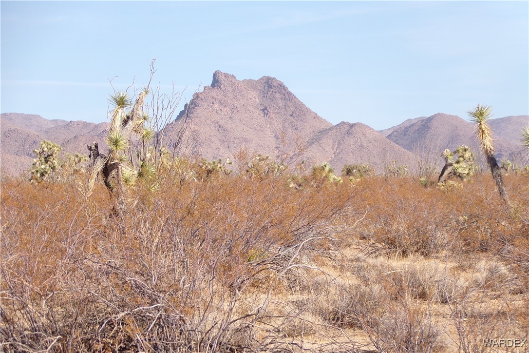 Lot 452 South Geronimo Road Yucca, AZ 86438 - Photo 15 of 35 View