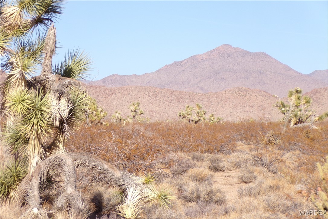 Lot 452 South Geronimo Road Yucca, AZ 86438 - Photo 16 of 35 View