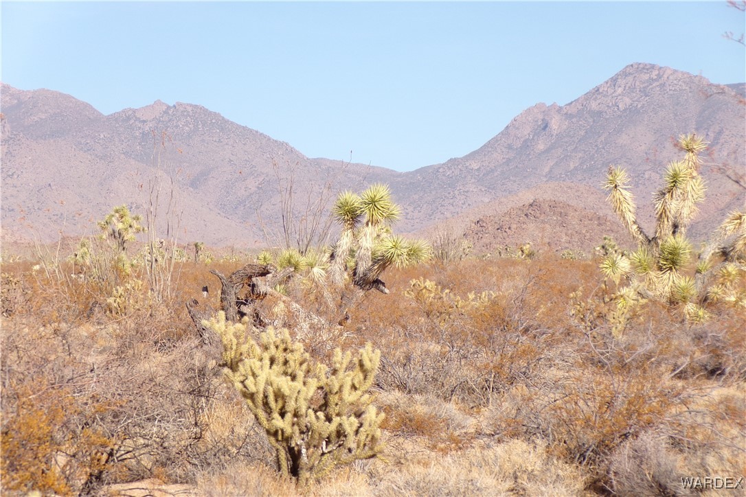 Lot 452 South Geronimo Road Yucca, AZ 86438 - Photo 17 of 35 View