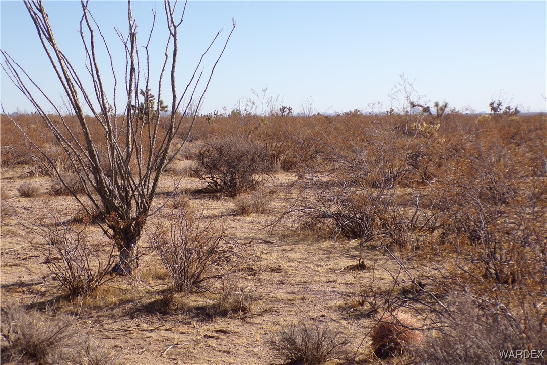 Lot 452 South Geronimo Road Yucca, AZ 86438 - Photo 18 of 35 Other