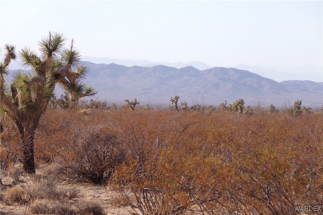Lot 452 South Geronimo Road Yucca, AZ 86438 - Photo 19 of 35 View