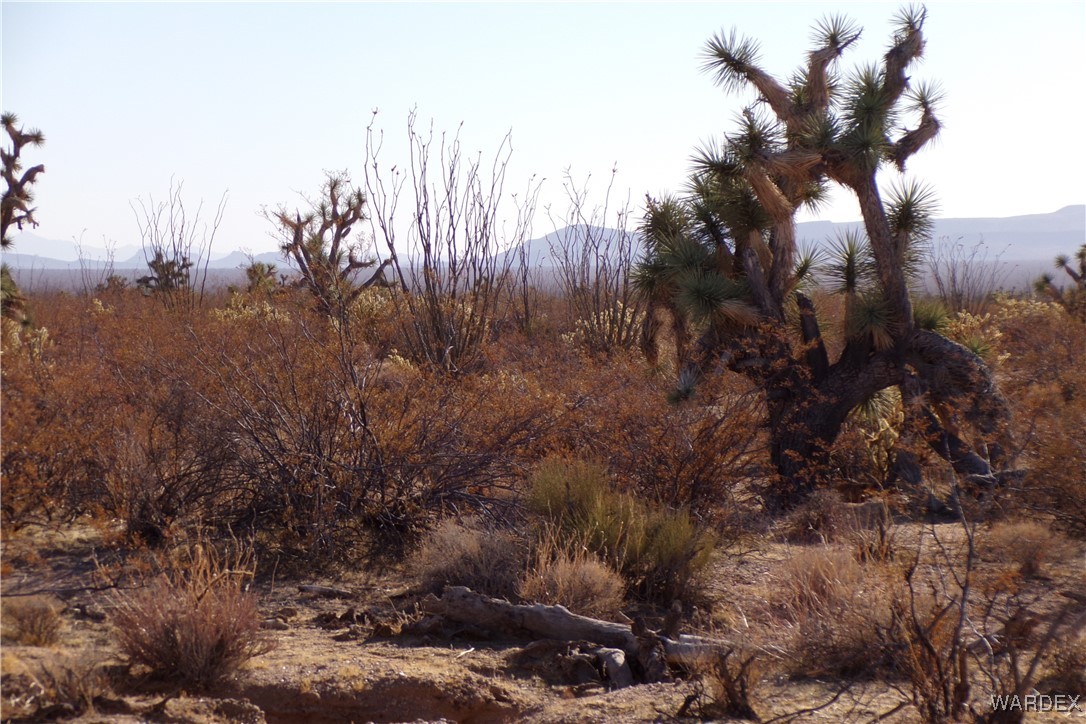 Lot 452 South Geronimo Road Yucca, AZ 86438 - Photo 20 of 35 Other
