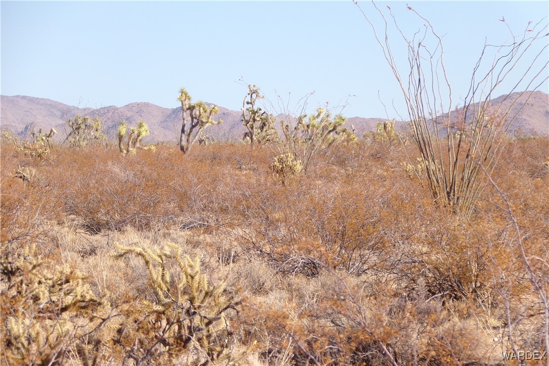 Lot 452 South Geronimo Road Yucca, AZ 86438 - Photo 21 of 35 Other
