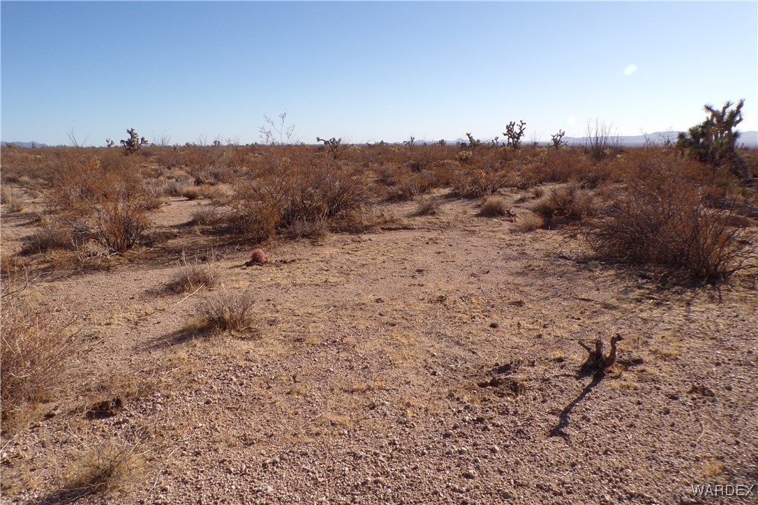 Lot 452 South Geronimo Road Yucca, AZ 86438 - Photo 22 of 35 Other