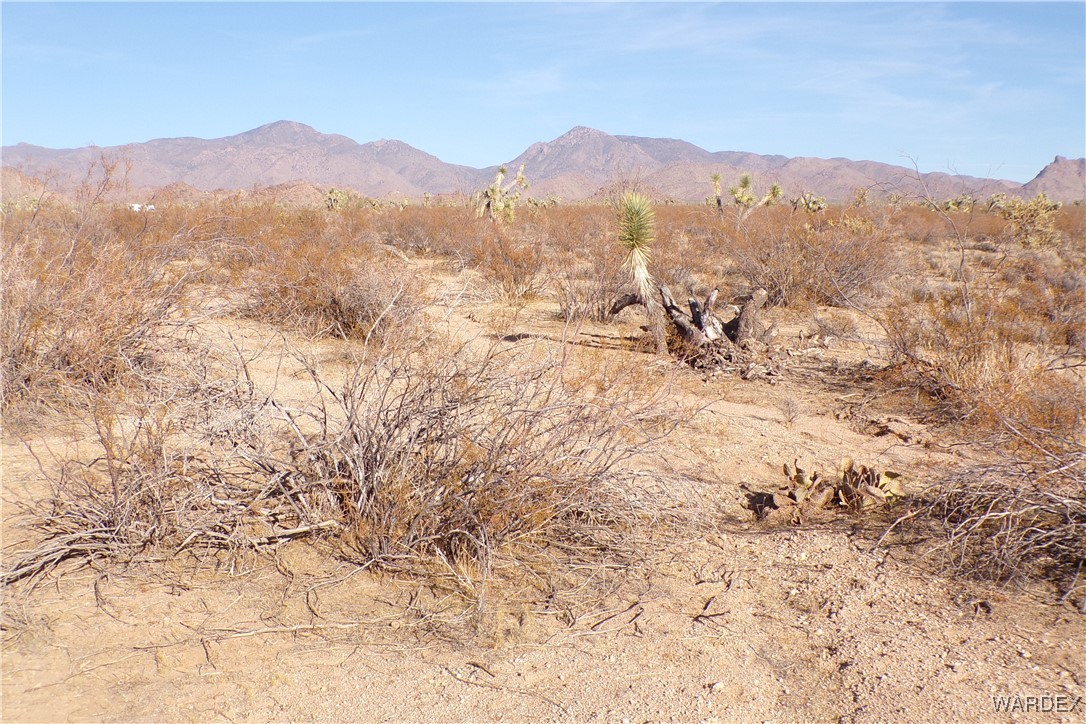 Lot 452 South Geronimo Road Yucca, AZ 86438 - Photo 24 of 35 View