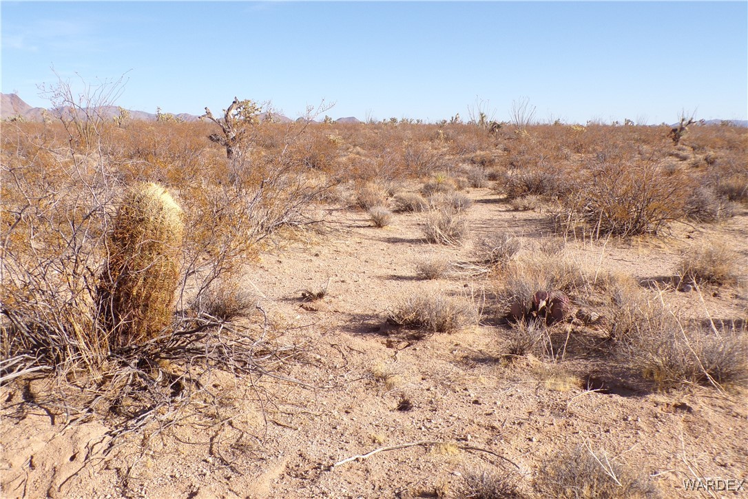 Lot 452 South Geronimo Road Yucca, AZ 86438 - Photo 25 of 35 Other