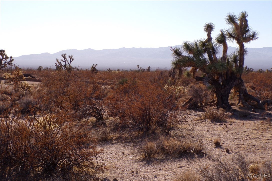 Lot 452 South Geronimo Road Yucca, AZ 86438 - Photo 26 of 35 View