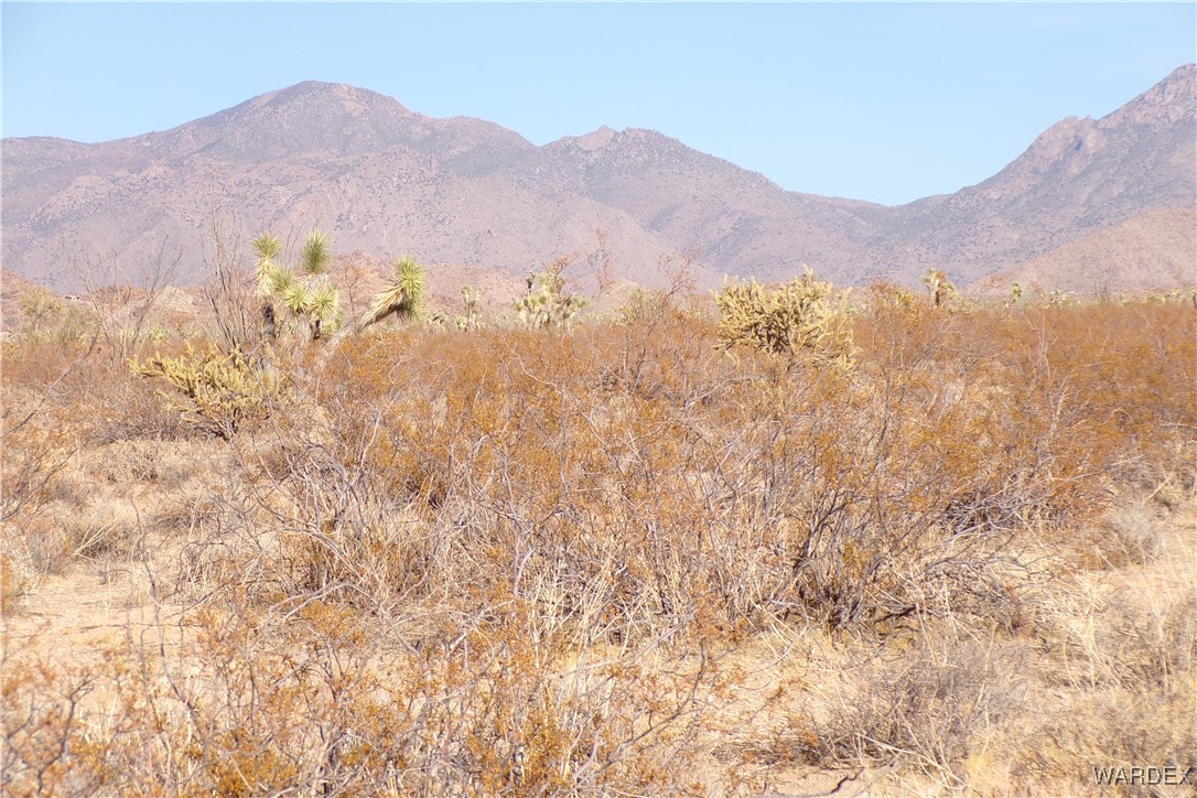 Lot 452 South Geronimo Road Yucca, AZ 86438 - Photo 27 of 35 View
