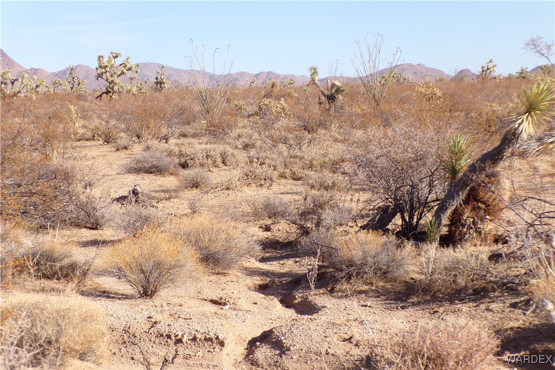 Lot 452 South Geronimo Road Yucca, AZ 86438 - Photo 29 of 35 View