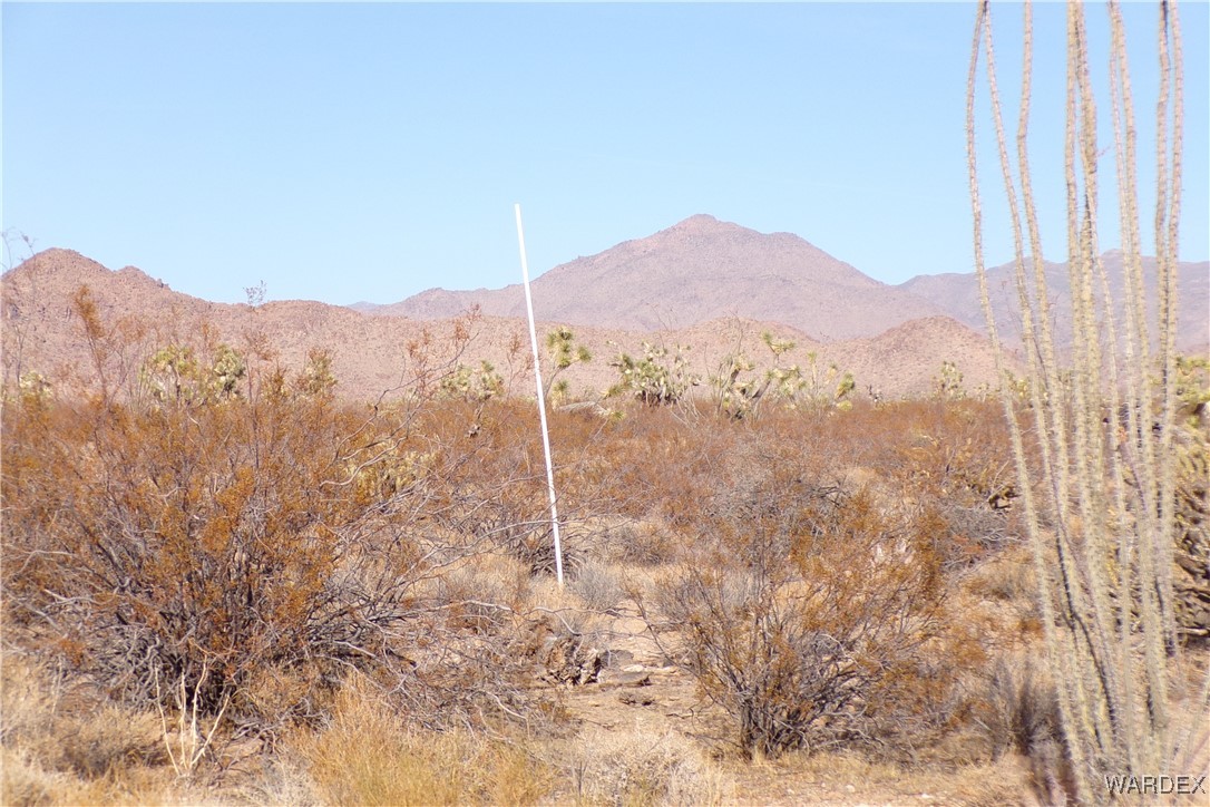 Lot 452 South Geronimo Road Yucca, AZ 86438 - Photo 30 of 35 View