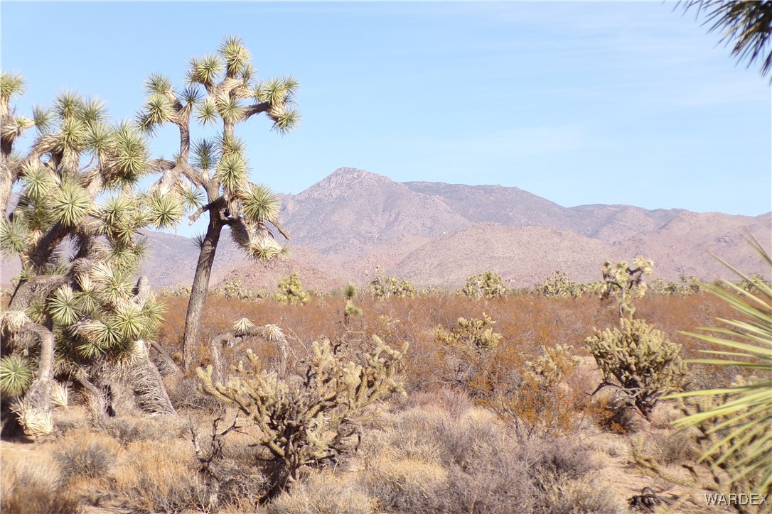 Lot 452 South Geronimo Road Yucca, AZ 86438 - Photo 31 of 35 View
