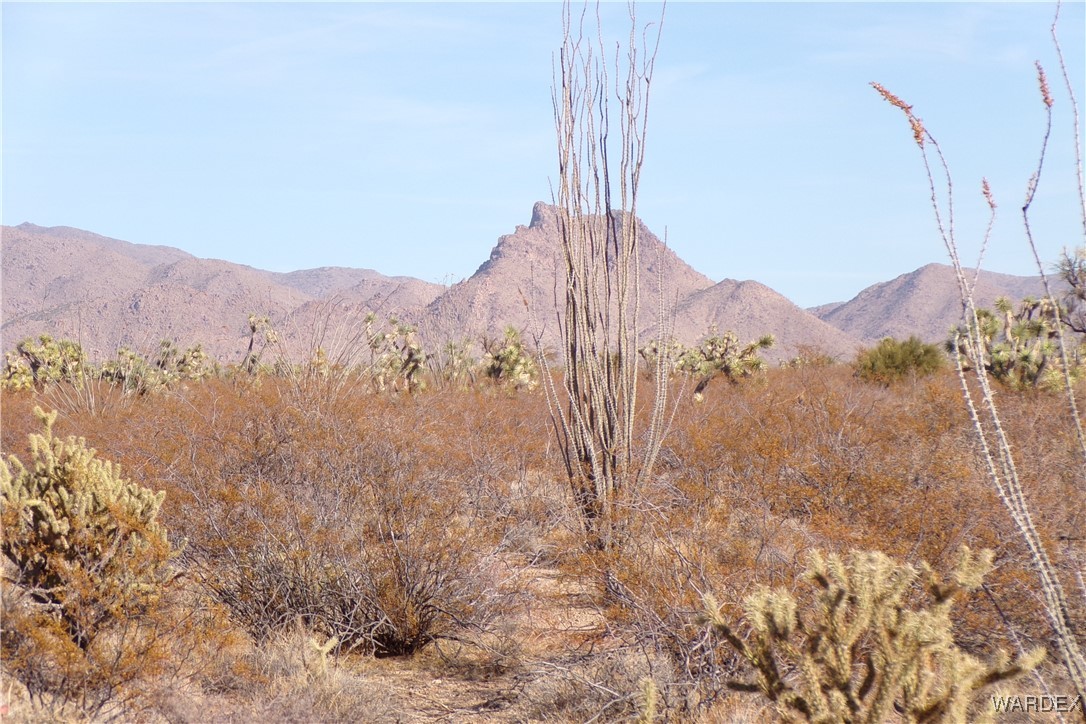 Lot 452 South Geronimo Road Yucca, AZ 86438 - Photo 32 of 35 View
