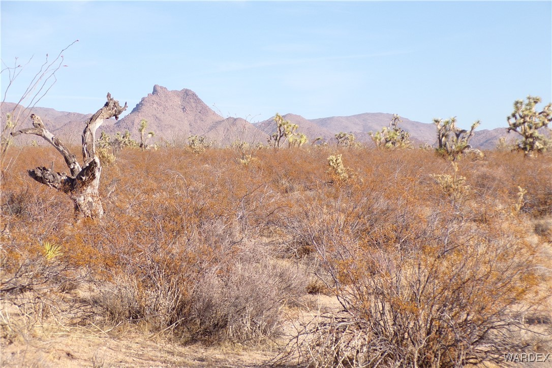 Lot 452 South Geronimo Road Yucca, AZ 86438 - Photo 10 of 35 View