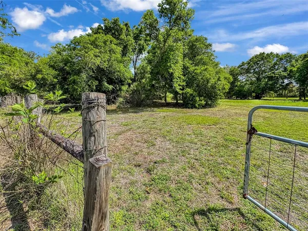 a view of a grassy field with trees in the background