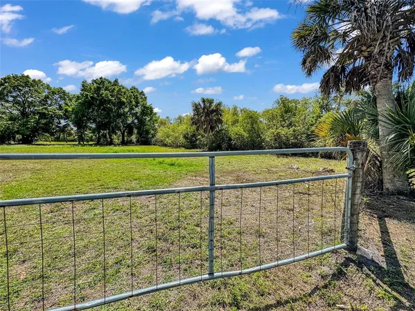 a view of backyard with green space