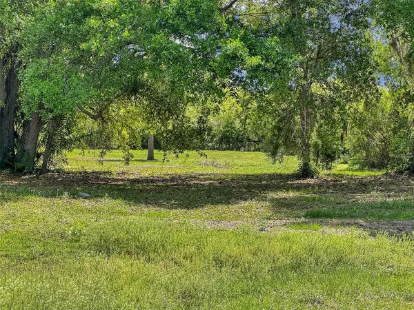 a view of a field with plants and trees