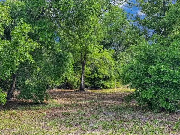 a view of a field with trees in the background