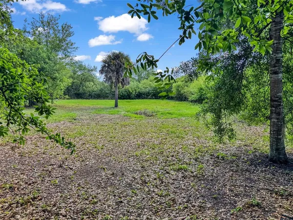 a view of a yard with a tree