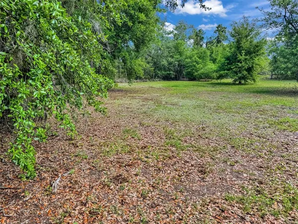 a view of a green field with plants in front of it