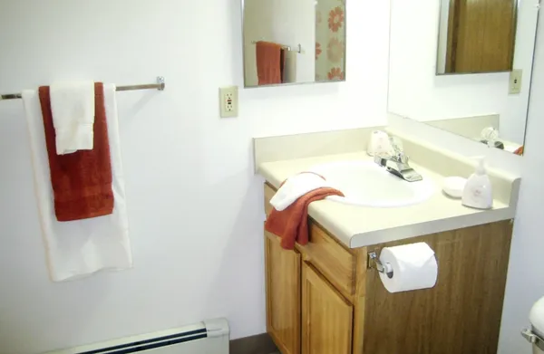 a bathroom with a sink and vanity