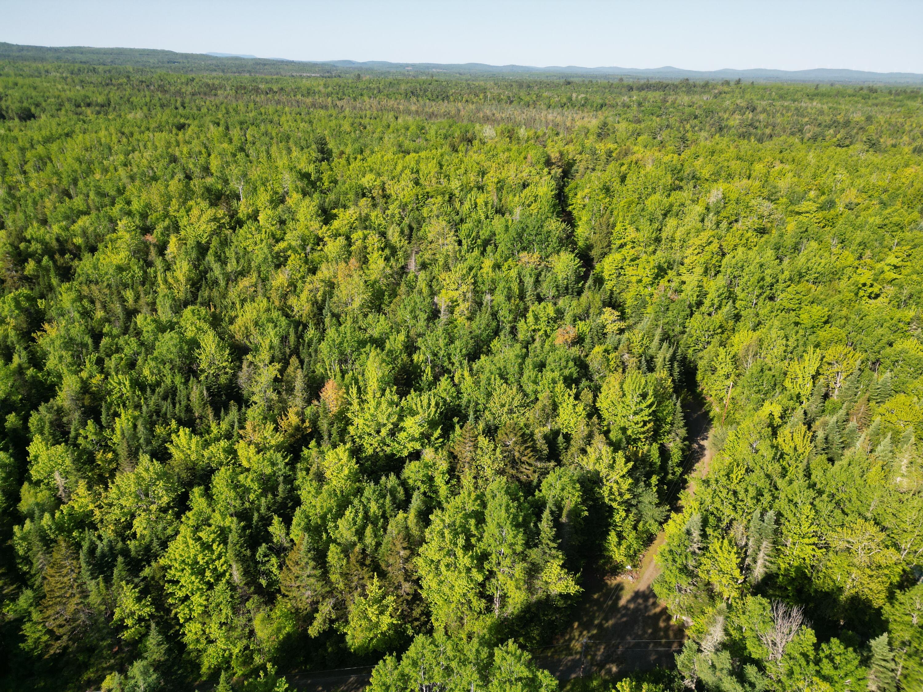 168 Tucker Ridge Road Springfield, ME 04487 - Photo 48 of 59 DJI_0109