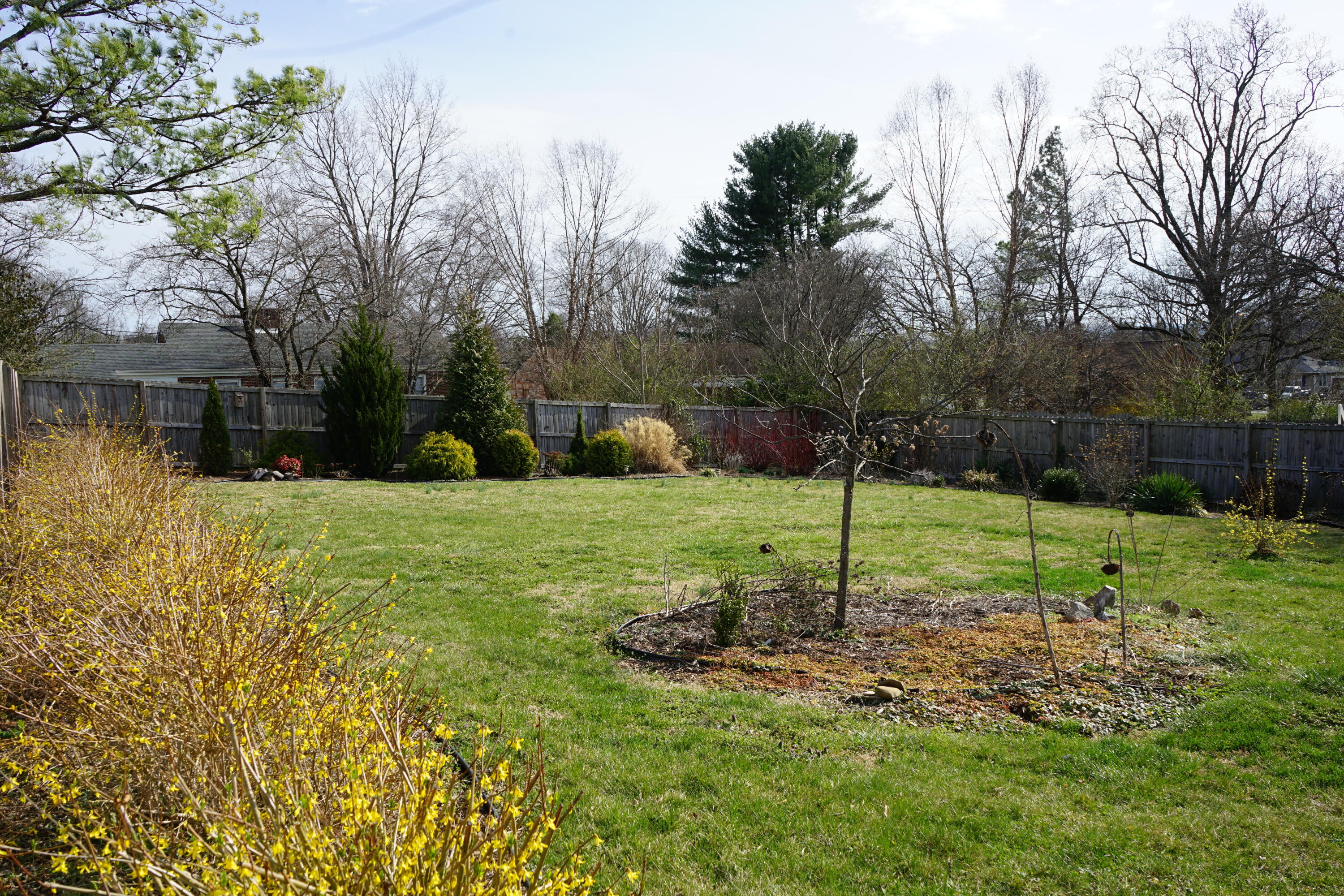 723 Dexter Road Roanoke, VA 24019 - Photo 30 of 33 Extensive Landscaping