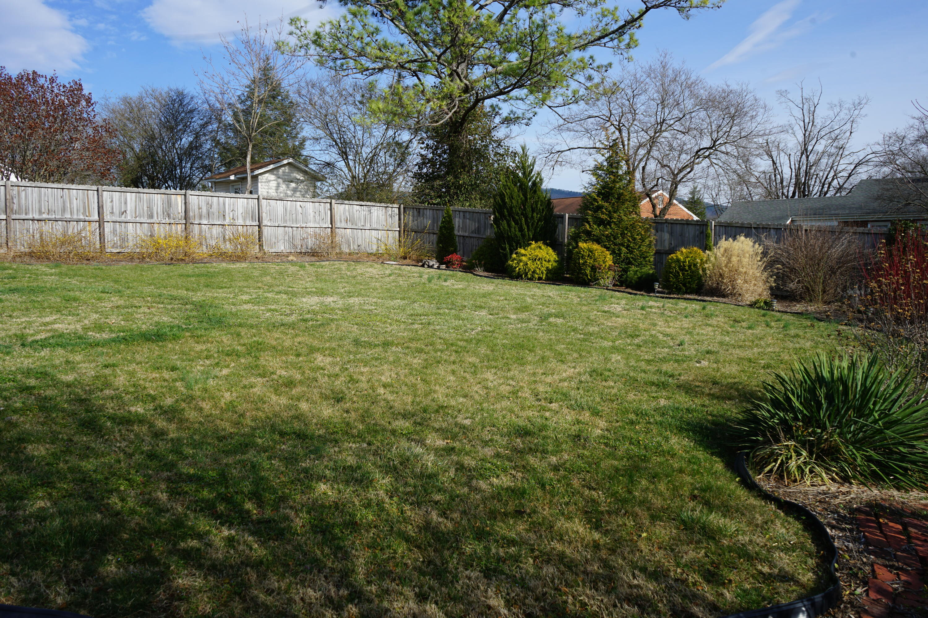 723 Dexter Road Roanoke, VA 24019 - Photo 31 of 33 Great Yard for Playtime