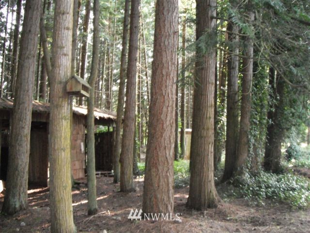 4414 Happy Valley Road Sequim, WA 98382 - Photo 8 of 11 Gallery Image 8