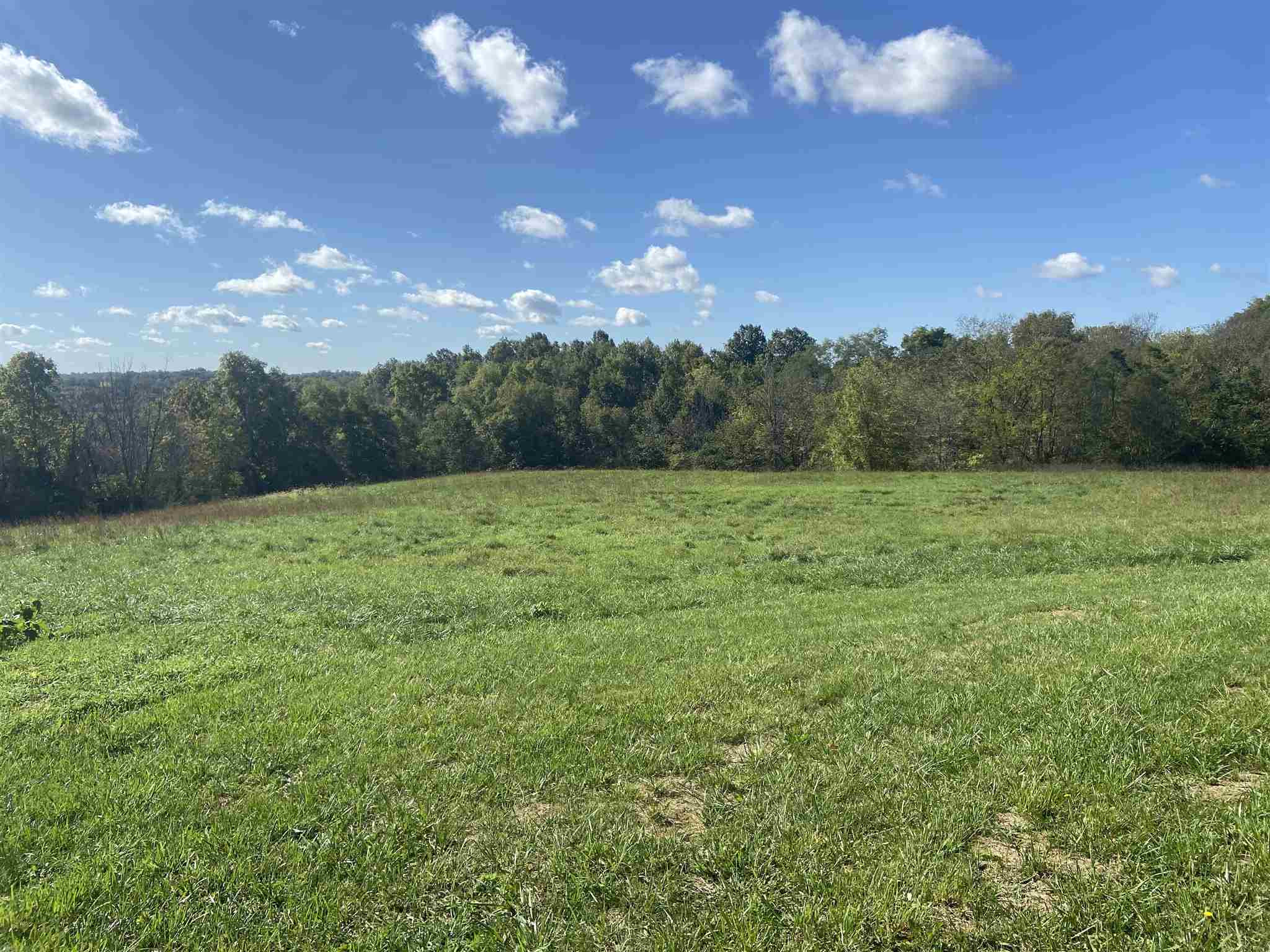 1650 Stewart Ridge Road Sparta, KY 41086 - Photo 9 of 10