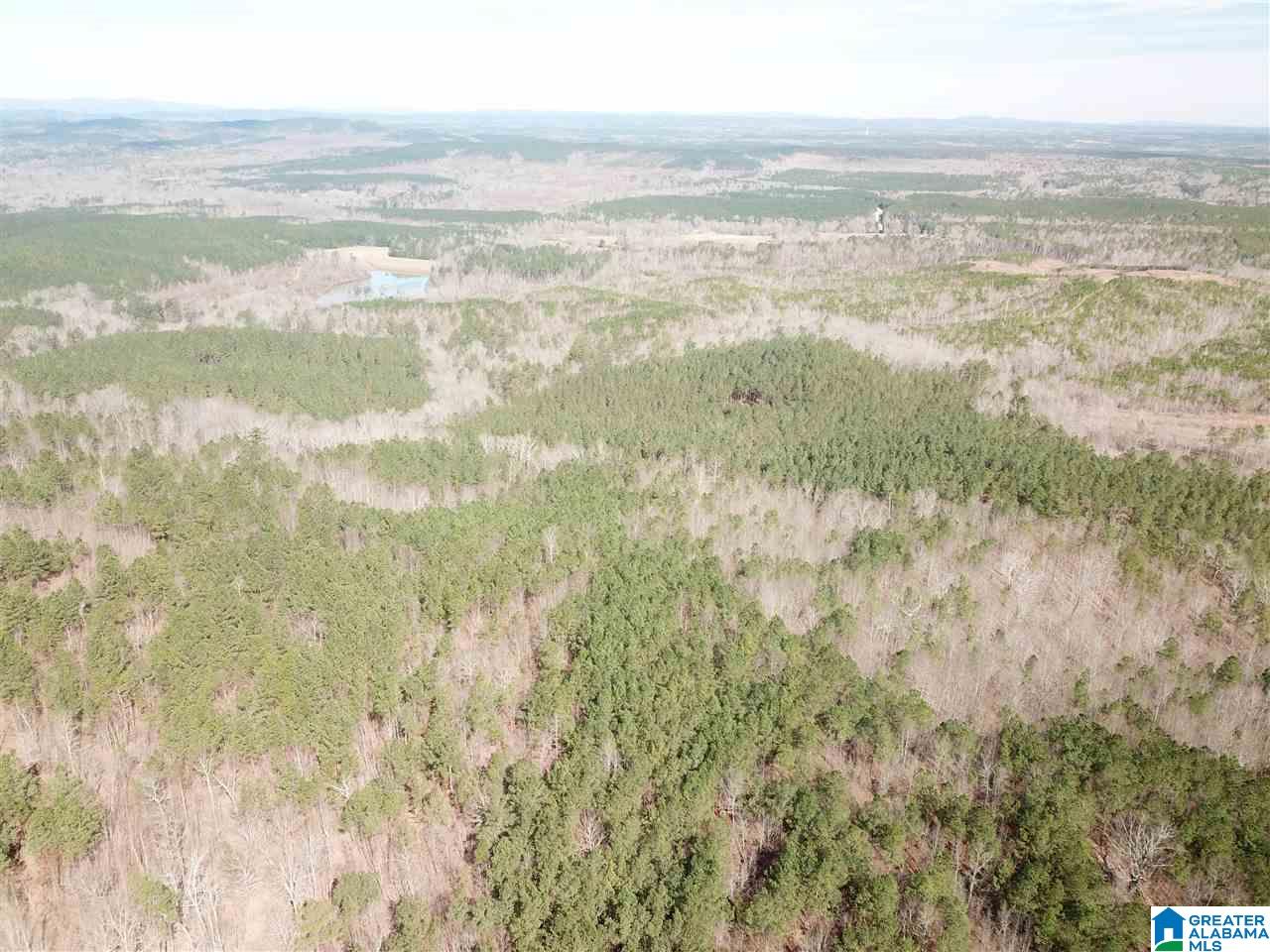 0 County Road 893 Heflin, AL 36264 - Photo 3 of 17