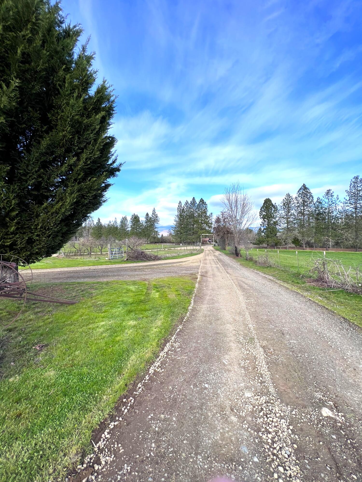 620 Dick George Road Cave Junction, OR 97523 - Photo 115 of 123 98