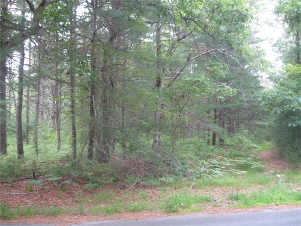 0 Cross Road Rochester, MA 02770 - Photo 1 of 2 a view of a forest with trees in the background